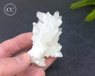 Cave Calcite | Floss Ferri #3