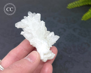 Cave Calcite | Floss Ferri #3