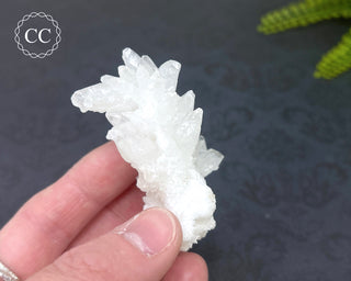 Cave Calcite | Floss Ferri #3
