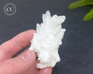 Cave Calcite | Floss Ferri #3