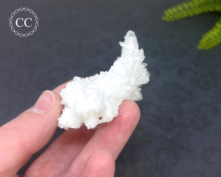Cave Calcite | Floss Ferri #3