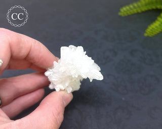 Cave Calcite | Floss Ferri #3