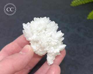 Cave Calcite | Floss Ferri #5
