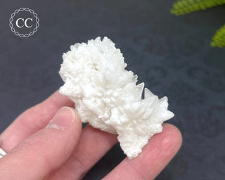 Cave Calcite | Floss Ferri #5