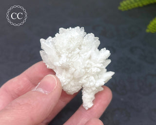 Cave Calcite | Floss Ferri #5