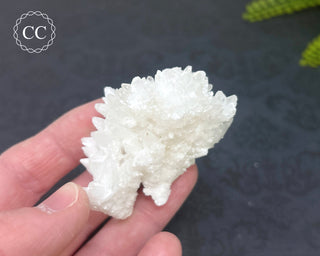 Cave Calcite | Floss Ferri #5