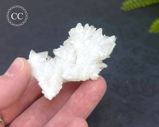 Cave Calcite | Floss Ferri #5