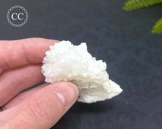 Cave Calcite | Floss Ferri #5