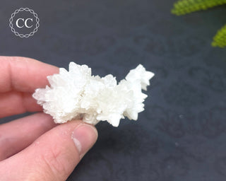 Cave Calcite | Floss Ferri #5