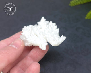Cave Calcite | Floss Ferri #5