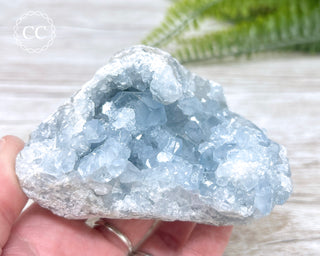 Celestite #7