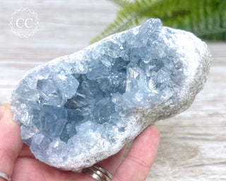 Celestite #11