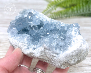 Celestite #11
