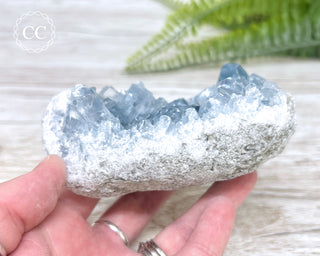 Celestite #11