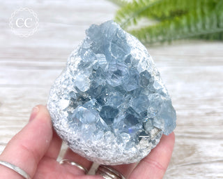 Celestite #12