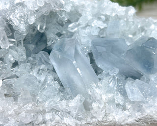 Celestite #21