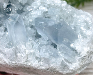Celestite #21