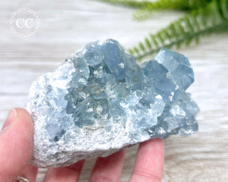 Celestite #8