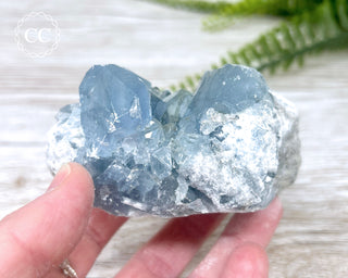 Celestite #8
