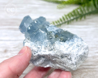 Celestite #8