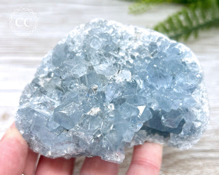 Celestite #10