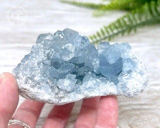 Celestite #10