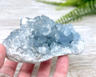 Celestite #10