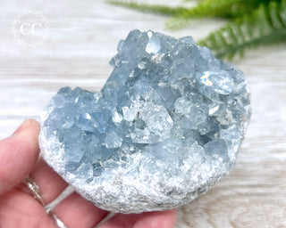 Celestite #10