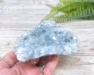 Celestite #5