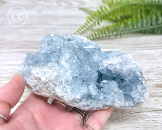 Celestite #5