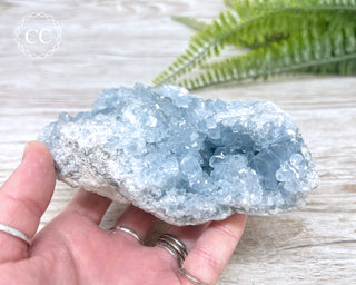 Celestite #5