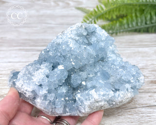 Celestite #5