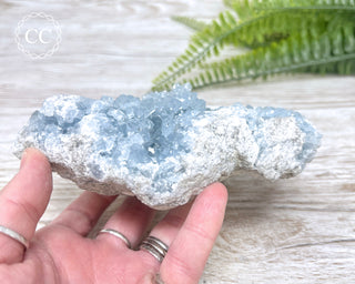 Celestite #5