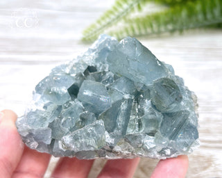 Celestite #6