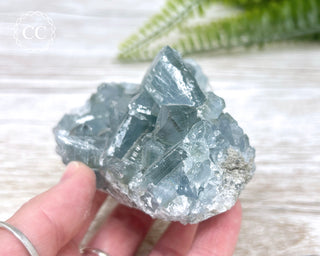 Celestite #6