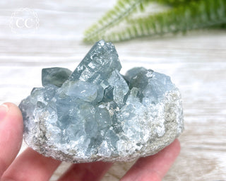 Celestite #6