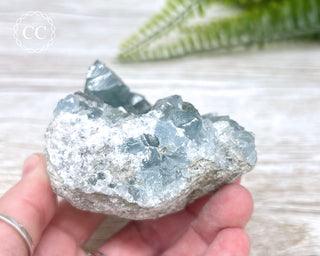Celestite #6