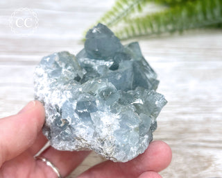 Celestite #6
