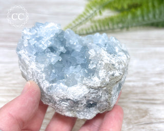 Celestite #7