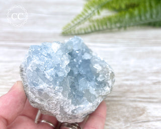 Celestite #7