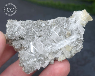 Celestite & Calcite Specimen - Clay Center #1