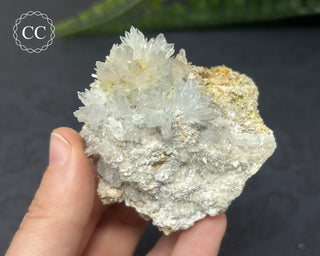 Celestite & Sulphur - Muculufa Mine #9