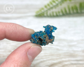 Chalcanthite Specimen #6