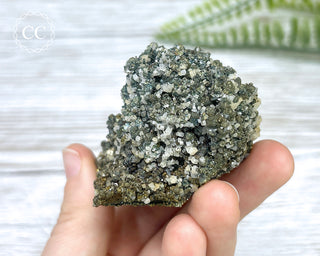 Chalcopyrite, Pyrite & Dolomite Specimen #1
