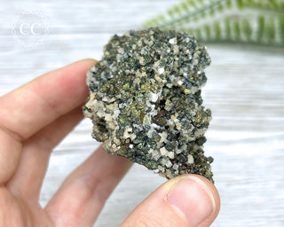 Chalcopyrite, Pyrite & Dolomite Specimen #1
