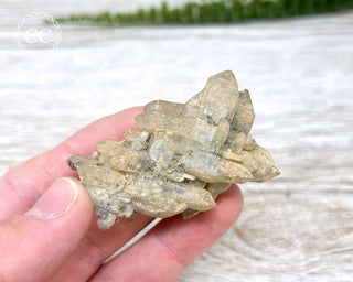 Cheval de Frise Quartz - Namibia #2