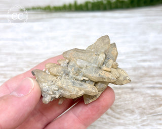 Cheval de Frise Quartz - Namibia #2