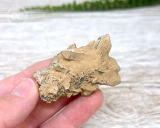 Cheval de Frise Quartz - Namibia #2