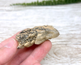 Cheval de Frise Quartz - Namibia #2