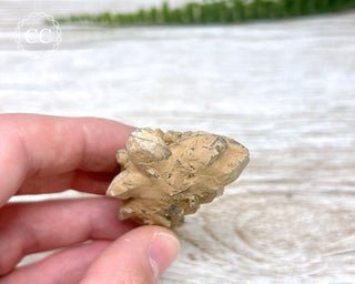 Cheval de Frise Quartz - Namibia #2